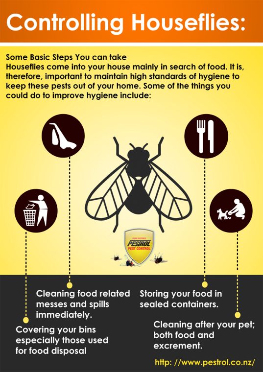 Controlling Houseflies 10 Steps