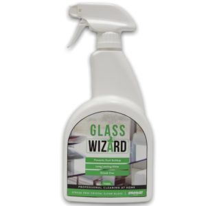 Spray & Go Wizard Glass Cleaner