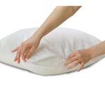 Pestrol Anti-Bed Bug Pillow Covers