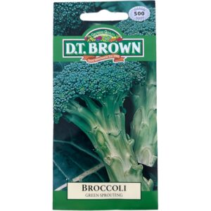 BROCCOLI Green Sprouting
