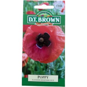 Flanders Poppy - Flower Seeds