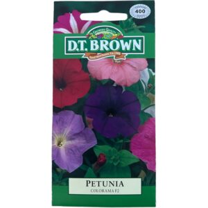 Colorama Petunia - Flower Seeds