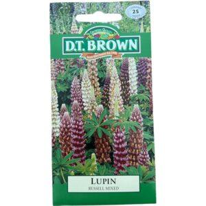 Russel Mix Lupin - Flower Seeds