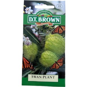 Swan Plant - Flower Seeds