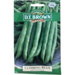 Blue Lake Climbing Bean - Vegetable Seeds