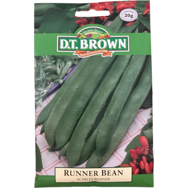 Scarlet Runner Bean - Vegetable Seed