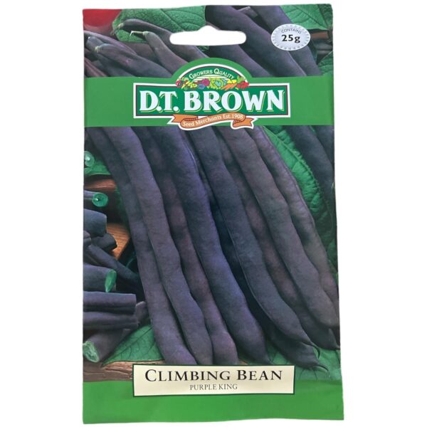 Purple King Climbing Bean - Vegetable Seeds