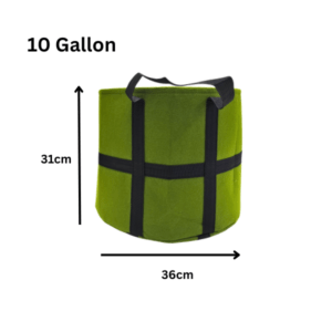 Pestrol Handle Around Grow Bag | 10 Gallon | Green