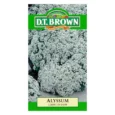Alyssum Carpet Of Snow | Pestrol