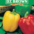 Capsicum Sweet Delight | Pestrol