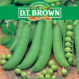 Greenfeast Pea | Pestrol