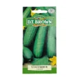 Lebanese Cucumber | Pestrol