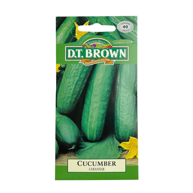 Lebanese Cucumber | Pestrol