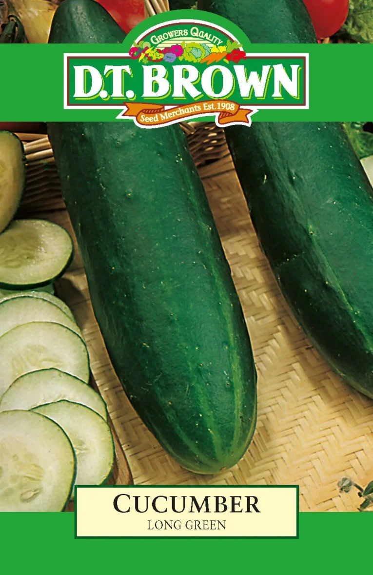 Long Green Cucumber | Pestrol