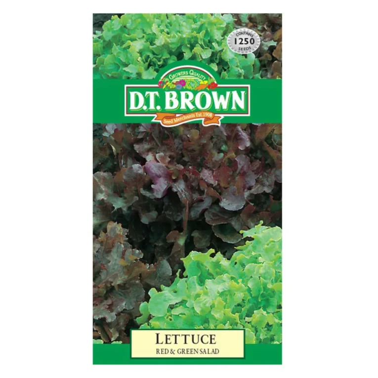 Red & Green Salad Lettuce | Pestrol