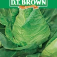 Sugar Loaf Cabbage | Pestrol