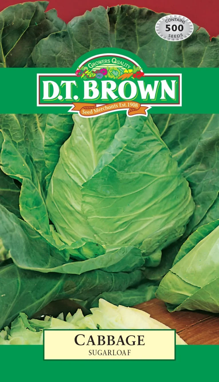Sugar Loaf Cabbage | Pestrol