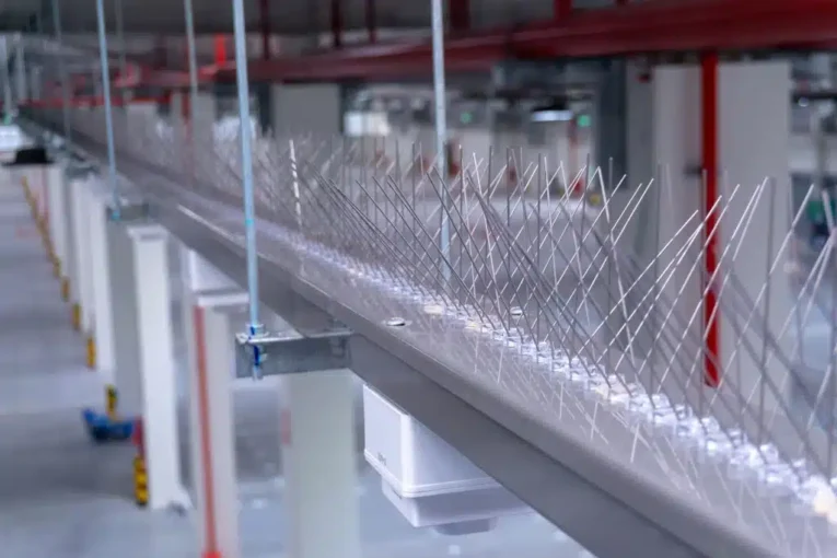 Effective Commercial Bird Proofing with Pestrol Bird Spikes