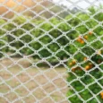Wildlife Safe Bird Netting | White | Pestrol